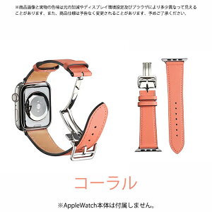 apple watch11 �o���h �v ���U�[ �A�b�v���E�H�b�` �x���g applewatch SE3�o���h 40mm 44mm 42mm 46mm �{�v �������