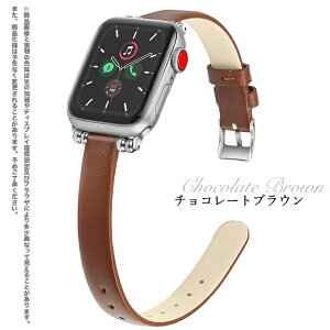 apple watch11 �o���h �v ���U�[ �A�b�v���E�H�b�` �x���g applewatch SE3�o���h 40mm 44mm 42mm 46mm �{�v �אg �X����