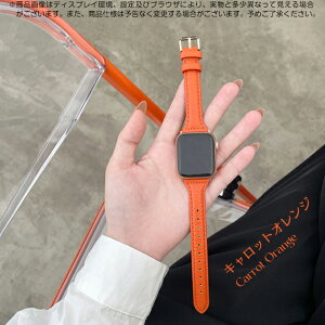 applewatch 11�o���h �v ���U�[ �A�b�v���E�H�b�` �x���g apple watch SE3 �o���h 40mm 44mm 42mm 46mm �{�v �אg �X����