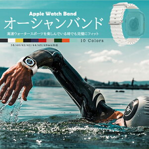 applewatch 11�o���h �V���R�� �A�b�v���E�H�b�` �x���g apple watch SE3 Ultra 3 �o���h 44mm 40mm 46mm 45mm �X�|�[�c