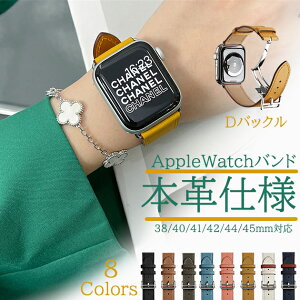 apple watch11 �o���h �v ���U�[ �A�b�v���E�H�b�` �x���g applewatch SE3�o���h 40mm 44mm 42mm 46mm �{�v �������