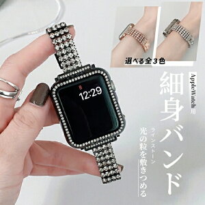 applewatch 11�o���h �X�e�����X �A�b�v���E�H�b�` �x���g apple watch SE3 �o���h 40mm 44mm 42mm 46mm �`�F�[�� �X����