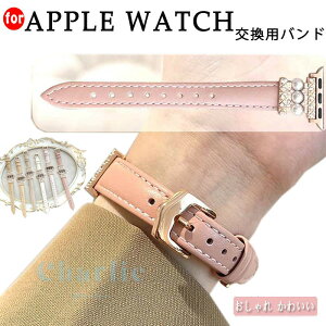Apple watch 38/40/41/S10 42MM �A�b�v���E�H�b�` �o���h ���f�B�[�X �{�v ������� apple watch 10 �o���h ���U�[ 46mm �_�炩�� apple watch �o���h series10 9 8 7 6 5 4 3 2 1 se �x���g 41mm 45mm 44mm 40mm 38mm 42mm ������