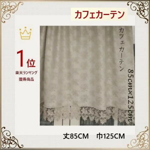 JtFJ[e@ k Ռ c  125cm 85cm [X o  ii v[g Mtg