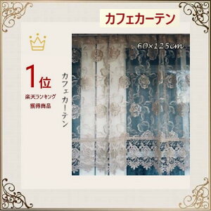 JtFJ[e [X   k c z  p ډB 125cm 60cm KN  ii v[g Mtg