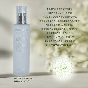 ΊۃCVNϐ Y@{@e@@qɗD@@ii v[g Mtg