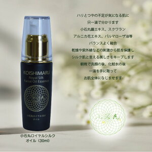 ΊۃCVNIC@Y {@e@@qɗD@@ii@v[g Mtg@yVX[p[Z[