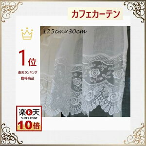 JtFJ[e@[X   k p ډB _  30cm 125cm ohJ   ii v[g Mtg