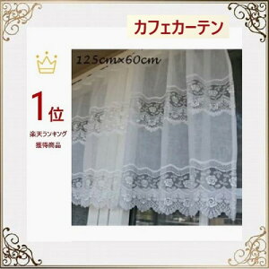 JtFJ[e   [X k c p ډB _  60cm 125cm ohJ   ii v[g