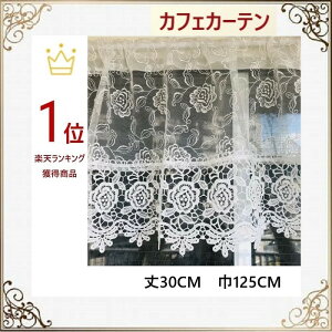 JtFJ[e@[X  k   p ډB _ S[WX @125cm 30cm KN  ii v[g Mtg@NX}X