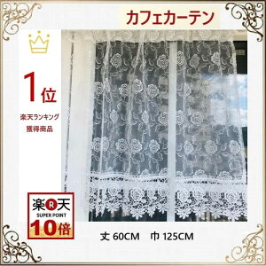 JtFJ[e@[X   k c  z  p ډB hJ@125cm 60cm KN @ii v[g Mtg
