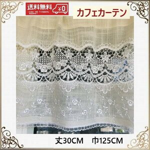 JtFJ[e@[X   k p ډB _  30cm 125cm ohJ  ii v[g Mtg