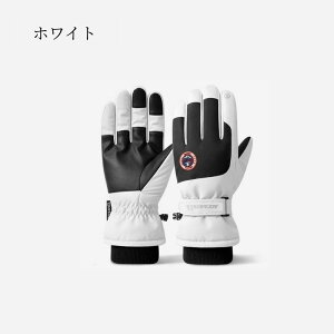 wubNtCf[őp10{xXL[ O[u fB[X Y Xm[O[u XL[ Xm[{[h Xm{ O[u ~g  ܖ{woR oCN ] ~ Sh h 