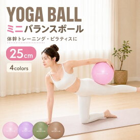 ヨガボール ピラティスボール 25cm ストレッチ バランスボール ミニ 空気入れストロー ヨガボール ミニ フィットネスボール ジムボール トレーニング エクササイズ お腹 お尻 体幹 筋トレ ダイエット器具 リハビリ ダンス リトミック