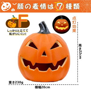 [yI WbNI[^ znEB  O  u CeA ڂჂ`[t J{`^Cg ^ O O LEDCg 7 dr  fR[V hallow