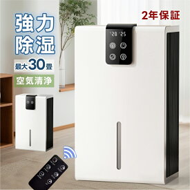 除湿機 小型 ペルチェ式 空気清浄機 除湿器 大容量2.2L 強力 軽量 静音 家庭用 梅雨対策 コンパクト 節電 省エネ 30畳 2025 カビ対策 自動停止 衣類 湿気 カビ防止 洗濯物 部屋 室内干し 梅雨 除湿 湿気抜き