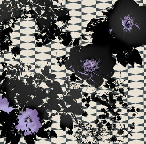 C~ Ȃ C~ 唻 qz 96×96cm { lR|X  ӂ낵 D^Cv 36ށH made in JAPAN Furoshiki  ʋC 蕨 v[g  z GR