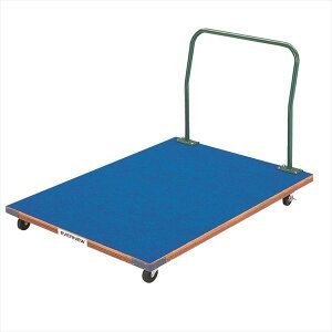 Goj[ EKF534 Ƃє^L 4934048930486 EVERNEW wZ̈y (܂ł̍ŒZ[̓[J[ɊmFAA܂)z