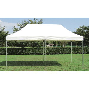 Goj[ EKA735-700 ^b`eg3.0×3.0 yFz 4934048449728 EVERNEW wZ̈y (܂ł̍ŒZ[̓[J[ɊmFAA܂)z