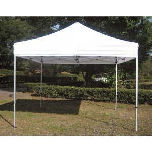 Goj[ EKA154-90 NCbNegHV1.2×1.2 yFz 4934048633776 EVERNEW wZ̈y (܂ł̍ŒZ[̓[J[ɊmFAA܂)z