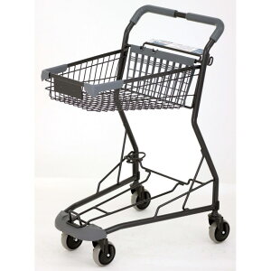 Goj[ EKD916 oXPbg^JSpJ[g 4934048635503 EVERNEW wZ̈