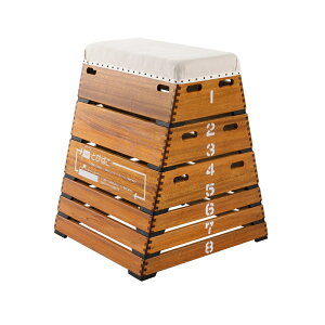 Goj[ EKF550 gXtH[ƂєNESTBOX 4934048635602 EVERNEW wZ̈y (܂ł̍ŒZ[̓[J[ɊmFAA܂)z