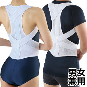 yԕisiz nw؃xg jp w b p v[g j  jZbNX M/L/LL