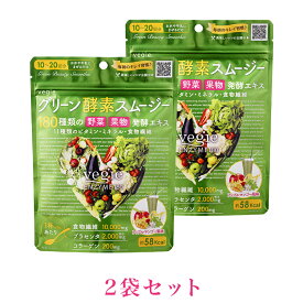 ベジエ グリーン酵素スムージー 2袋セット 200g (10～20回分)×2 サプリメント ダイエット 置き換え ファスティング 野菜果物発酵エキス ビタミン11種類 ミネラル コラーゲン 健康 美容 野菜