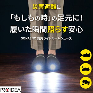 SONAENO \iGm hЃCg[V[Y Xbp hЌC LEDCg SC ƌ @\ p ЊQ d