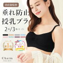 【最大30％OFFクーポン】＼1枚あたり993円／ 助産師監修 授乳ブラ 3枚セット 2枚セット マタニティブラ ストラップオ…