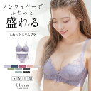 【最大30％OFFクーポン】ノンワイヤーブラ ショーツセット 自然に盛れる ふわっとスリムブラ ブラジャー 痛くない 上下セット ノンワイヤー ブラ 脇高 小胸 脇肉 谷間 補正下着 レース 下着 レディース 大きいサイズ チャーメイクボディ