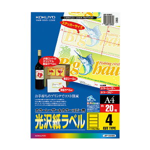 |Cg UP Ԍ yRNzJ[[U[Rs[p20 LBP-G6905@[A4TCY] Ǝҗl}