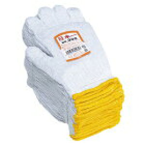 ӂ R { #300 aR ʍ H | gN{[ Ǝҗl} 