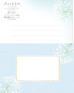 Ð쎆H ̂莆 ^[Zbg JX~\E LLL466 FURUKAWASHIKO Ǝҗl}
