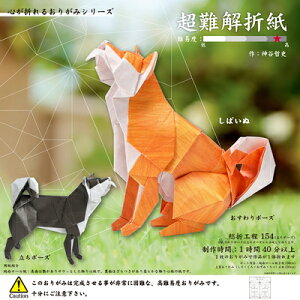 肪 ܎ ΂ 006082 g[[ TOYO |Cg UP Ԍ