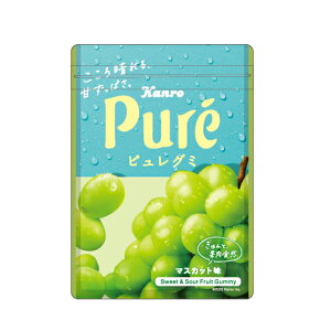 sO~ `bNt }XJbg Pure Kanro 땶 pfB ObY 46200601 funbox TJg Ǝҗl}