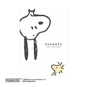 Xk[s[ ~L[NAm[g  PEANUTS 132247 NbNX CRUX Ǝҗl}