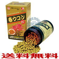 からだを元気にする万能ウコン春ウコン粒 [1000粒]【送料無料 沖縄 ウコン 錠剤 サプリ サプリメント 健…