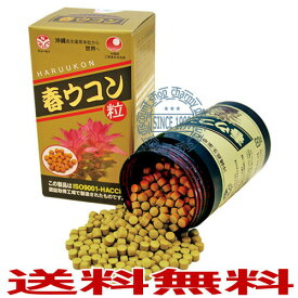 からだを元気にする万能ウコン春ウコン粒 [1000粒]【送料無料 沖縄 ウコン 錠剤 サプリ サプリメント 健康食品 健康 オリジナル ウコン粒 うこん 沖縄ウコン 沖縄 うこん 効能 ウコンサプリ ギフト プレゼント】