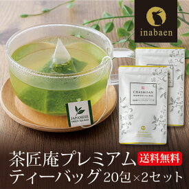 お茶 プレミアムティーバッグ 20包 2袋セット メール便送料無料 深蒸し茶ティーバッグ 静岡茶 深むし茶 贈り物 プレゼント お礼 ティーパック 深蒸し煎茶 贈物 新居祝い 引越し ポイント消化