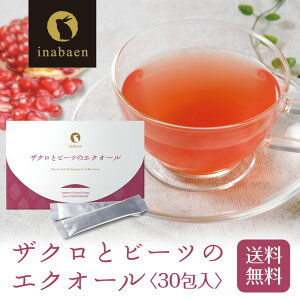 ZyN[|ŔzI3,980~1,990~Iz UNƃr[c̃GNI[ 30 [ _CGbg NHi Tv |Cg  z Z[ ubNtCf[  