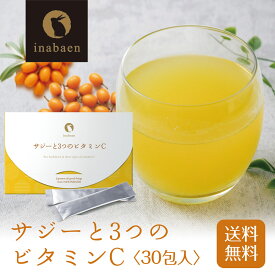Z【クーポンで最大52%OFF！まとめて購入がお買い得！】 サジーと3つのビタミンC メール便 ダイエット 健康食品 サプリ 鉄分 スーパーフード ポイント消化 送料無料 セール お買い得