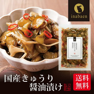 PyԌ|Cg2{Iz Е YイݖЂ 100g [֑ Ђ Y Е т̂Ƃ т̂   j  ٓ  v`Mtg yY ݂₰ 