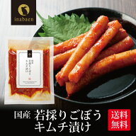 【食いしん坊祭300円OFFクーポン対象】漬物 国産ごぼうキムチ漬け 130g メール便送料無料 漬け物 国産 お…