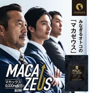 }JTvg }J[EX 60 ꂩ [֑ Vg  j  D C N e GlM[ }JbNX9000mgz MACAXS ~l MACAZEUS