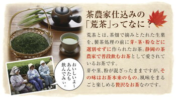 【深蒸し茶】静岡産上級荒茶<荒茶づくり>内容量100gメール便送料無料(お茶日本茶緑茶送料無料深蒸し茶静岡茶)(深むし茶ギフト深蒸し煎茶お茶ギフト内祝いお茶出産内祝いお茶静岡お茶香典返しお茶)