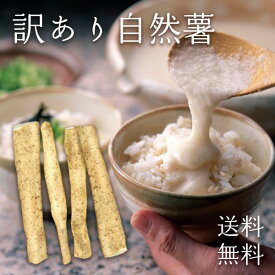 自然薯 訳あり品 送料無料 じねんじょ 山芋 約1kg 静岡牧之原産 産直 お取り寄せグルメ おくりもの 贈り物 プレゼント 贈答 内祝い 父 引越し祝い お祝い 贈物 お土産 みやげ 還暦祝い