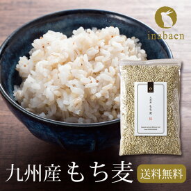 【5/4 20時から！期間限定ポイント20倍！まとめ買いでお得！】 もち麦 九州産 900g 国産もち麦 メール便送料無料 雑穀 穀類 ご飯 御飯 お米 ヘルシー 腸活 食物繊維 ダイエット 内祝い 茶匠庵 ポイント消化