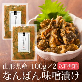 南蛮みそ漬け 100g 2袋セット メール便送料無料 南蛮味噌漬け 青とうがらし 青唐辛子 牛たん 牛タン 仙台牛たん なんばんみそ漬け 丸山食品 惣菜 お惣菜 おかず ご飯のお供 ご飯のおとも 一人暮らし 食品 ポイント消化 漬物 漬け物 お漬物 お漬け物