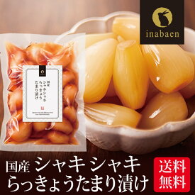 漬物 しゃきしゃき らっきょう たまり漬け 140g メール便送料無料 漬け物 国産 お漬物 ご飯のおとも ごはんのおとも ご飯のお供 お礼 贈答 内祝い つけもの 弁当 おくりもの 贈物 プチギフト お土産 みやげ 茶匠庵 惣菜 お惣菜 時短 おかず 一人暮らし 食品 ポイント消化